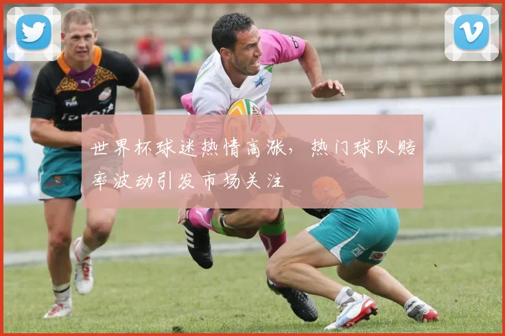 世界杯球迷热情高涨，热门球队赔率波动引发市场关注